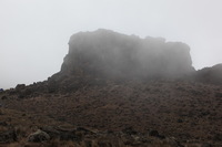 Canon EOS 5D Mark II, 2018:02:27 11:34:50 -- 1/125 sec, f/8.0.  No Flash, Compulsory.4080x2720 