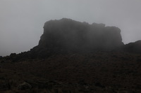 Canon EOS 5D Mark II, 2018:02:27 11:34:50 -- 1/320 sec, f/8.0.  No Flash, Compulsory.4080x2720 