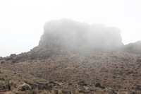 Canon EOS 5D Mark II, 2018:02:27 11:34:50 -- 1/50 sec, f/8.0.  No Flash, Compulsory.4080x2720 