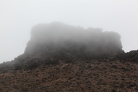 Canon EOS 5D Mark II, 2018:02:27 11:37:09 -- 1/125 sec, f/8.0.  No Flash, Compulsory.4080x2720 