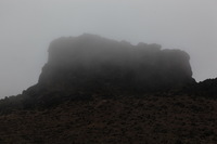 Canon EOS 5D Mark II, 2018:02:27 11:37:09 -- 1/320 sec, f/8.0.  No Flash, Compulsory.4080x2720 