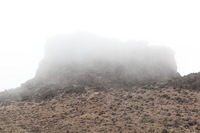 Canon EOS 5D Mark II, 2018:02:27 11:37:09 -- 1/60 sec, f/8.0.  No Flash, Compulsory.4080x2720 