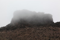 Canon EOS 5D Mark II, 2018:02:27 11:37:31 -- 1/125 sec, f/8.0.  No Flash, Compulsory.4080x2720 