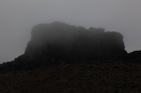 Canon EOS 5D Mark II, 2018:02:27 11:37:32 -- 1/500 sec, f/8.0.  No Flash, Compulsory.4080x2720 