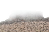 Canon EOS 5D Mark II, 2018:02:27 11:37:32 -- 1/60 sec, f/8.0.  No Flash, Compulsory.4080x2720 