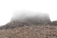 Canon EOS 5D Mark II, 2018:02:27 11:38:08 -- 1/50 sec, f/8.0.  No Flash, Compulsory.4080x2720 