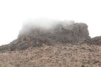 Canon EOS 5D Mark II, 2018:02:27 11:39:09 -- 1/60 sec, f/8.0.  No Flash, Compulsory.4080x2720 