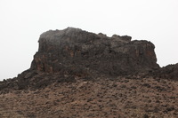 Canon EOS 5D Mark II, 2018:02:27 11:41:16 -- 1/60 sec, f/8.0.  No Flash, Compulsory.4080x2720 