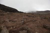 Canon EOS 5D Mark II, 2018:02:27 11:43:38 -- 1/100 sec, f/8.0.  No Flash, Compulsory.4080x2720 