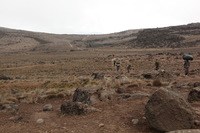 Canon EOS 5D Mark II, 2018:02:27 11:44:07 -- 1/60 sec, f/8.0.  No Flash, Compulsory.4080x2720 