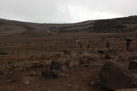 Canon EOS 5D Mark II, 2018:02:27 11:44:07 -- 1/125 sec, f/8.0.  No Flash, Compulsory.4080x2720 