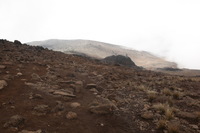 Canon EOS 5D Mark II, 2018:02:27 12:43:35 -- 1/80 sec, f/10.0.  No Flash, Compulsory.4080x2720 