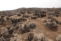 Canon EOS 5D Mark II, 2018:02:27 12:50:19 -- 1/80 sec, f/10.0.  No Flash, Compulsory.4080x2720 