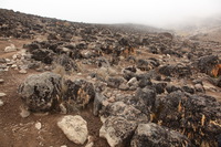 Canon EOS 5D Mark II, 2018:02:27 12:51:08 -- 1/80 sec, f/10.0.  No Flash, Compulsory.4080x2720 