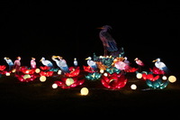 Canon EOS 5D Mark II, 2018:05:13 21:55:56 -- 1/2 sec, f/8.0.  No Flash, Compulsory.4080x2720 Off.