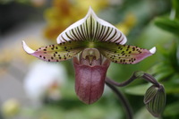 Canon EOS DIGITAL REBEL, 2005:04:30 15:28:49 -- 1/125 sec, f/4.0.  No Flash.3072x2048 Off.