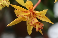 Canon EOS DIGITAL REBEL, 2005:04:30 15:30:44 -- 1/160 sec, f/4.5.  No Flash.3072x2048 Off.