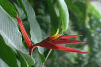 Canon EOS DIGITAL REBEL, 2006:03:11 14:59:23 -- 1/320 sec, f/4.5.  No Flash.3072x2048 Off.