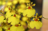 Canon EOS DIGITAL REBEL, 2007:03:18 13:49:52 -- 1/60 sec, f/4.5.  Flash, Compulsory, Red-Eye Reduce.3072x2048 Red-Eye Reduction (On).