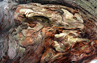 Canon PowerShot G3, 2006:05:20 19:08:41 -- 1/50 sec, f/4.0.  No Flash, Compulsory.2272x1704 Off.