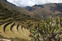 Canon EOS 5D Mark II, 2010:04:26 13:10:37 -- 1/125 sec, f/11.0.  No Flash, Compulsory.5616x3744 Off.