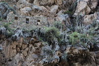 Canon EOS 5D Mark II, 2010:04:26 16:38:41 -- 1/125 sec, f/4.5.  No Flash, Compulsory.5616x3744 Off.