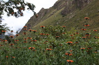 Canon EOS 5D Mark II, 2010:04:27 11:21:20 -- 1/125 sec, f/7.1.  No Flash, Compulsory.5616x3744 Off.