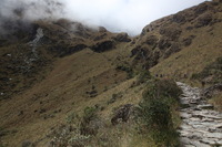 Canon EOS 5D Mark II, 2010:04:28 12:21:57 -- 1/80 sec, f/11.0.  No Flash, Compulsory.5616x3744 Off.