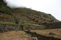 Canon EOS 5D Mark II, 2010:04:29 14:26:25 -- 1/125 sec, f/7.1.  No Flash, Compulsory.5616x3744 Off.