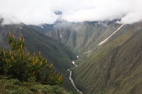 Canon EOS 5D Mark II, 2010:04:29 14:17:26 -- 1/160 sec, f/8.0.  No Flash, Compulsory.5616x3744 Off.