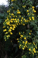 Canon EOS 5D Mark II, 2010:04:29 14:48:00 -- 1/80 sec, f/5.6.  No Flash, Compulsory.5616x3744 Off.