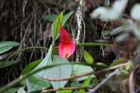 Canon EOS 5D Mark II, 2010:04:29 14:30:24 -- 1/100 sec, f/4.0.  No Flash, Compulsory.5616x3744 Off.