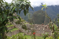 Canon EOS 5D Mark II, 2010:04:30 11:54:16 -- 1/100 sec, f/7.1.  No Flash, Compulsory.5616x3744 Off.