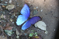 Canon EOS 5D Mark II, 2010:05:02 12:47:25 -- 1/100 sec, f/4.0.  No Flash, Compulsory.5616x3744 Off.