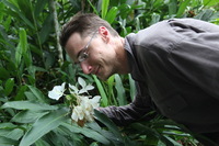 Canon EOS 5D Mark II, 2010:05:02 17:41:18 -- 1/30 sec, f/4.0.  No Flash, Compulsory.5616x3744 Off.