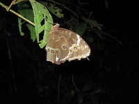 Canon PowerShot A590 IS, 2010:05:02 21:49:18 -- 1/60 sec, f/2.6.  Flash, Auto, Red-Eye Reduce.3264x2448 Red-Eye Reduction (Auto).