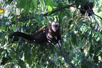 Canon EOS 5D Mark II, 2010:05:02 08:40:26 -- 1/100 sec, f/4.0.  No Flash, Compulsory.5616x3744 Off.