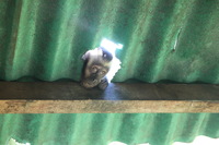 Canon EOS 5D Mark II, 2010:05:02 08:44:56 -- 1/125 sec, f/4.0.  No Flash, Compulsory.5616x3744 Off.