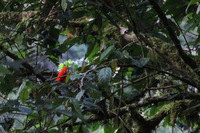 Canon EOS 5D Mark II, 2010:05:02 06:55:25 -- 1/50 sec, f/4.0.  No Flash, Compulsory.5616x3744 Off.