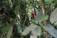 Canon EOS 5D Mark II, 2010:05:02 06:59:19 -- 1/30 sec, f/4.0.  No Flash, Compulsory.5616x3744 Off.