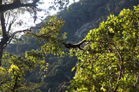 Canon EOS 5D Mark II, 2010:05:02 08:07:54 -- 1/100 sec, f/4.0.  No Flash, Compulsory.5616x3744 Off.