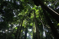 Canon EOS 5D Mark II, 2010:05:03 16:23:05 -- 1/40 sec, f/4.0.  No Flash, Compulsory.5616x3744 Off.