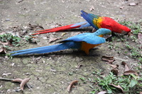 Canon EOS 5D Mark II, 2010:05:03 16:01:21 -- 1/80 sec, f/4.0.  No Flash, Compulsory.5616x3744 Off.