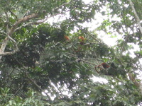 Canon PowerShot A590 IS, 2010:05:04 13:10:09 -- 1/125 sec, f/5.5.  No Flash, Auto.3264x2448 Red-Eye Reduction (Auto).