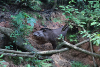 Canon EOS 5D Mark II, 2010:05:04 18:23:15 -- 1/13 sec, f/4.0.  No Flash, Compulsory.5616x3744 Off.