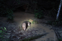 Canon EOS 5D Mark II, 2010:05:04 18:45:23 -- 1/2 sec, f/4.0.  No Flash, Compulsory.5616x3744 Off.