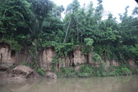 Canon EOS 5D Mark II, 2010:05:05 06:50:14 -- 1/20 sec, f/4.0.  No Flash, Compulsory.5616x3744 Off.