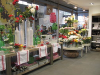 Canon PowerShot A590 IS, 2010:05:29 11:04:46 -- 1/60 sec, f/3.2.  No Flash, Auto.3264x2448 Red-Eye Reduction (Auto).