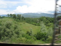 Canon PowerShot A590 IS, 2010:05:29 12:52:35 -- 1/200 sec, f/4.0.  No Flash, Auto.3264x2448 Red-Eye Reduction (Auto).