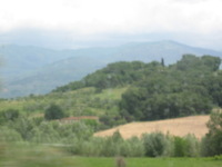 Canon PowerShot A590 IS, 2010:05:29 12:57:00 -- 1/250 sec, f/5.5.  No Flash, Auto.3264x2448 Red-Eye Reduction (Auto).